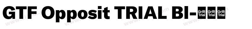 GTF Opposit TRIAL Bl字体转换